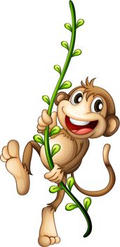 Illustration of a monkey hanging on a vine on a white background
