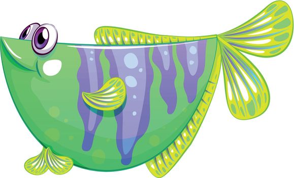 Illustration of a unique fish on a white background
