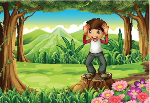 Illustration of a smiling young gentleman above the stump