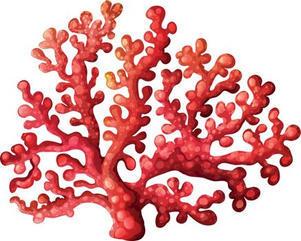 Illustration of a coral reef on a white background