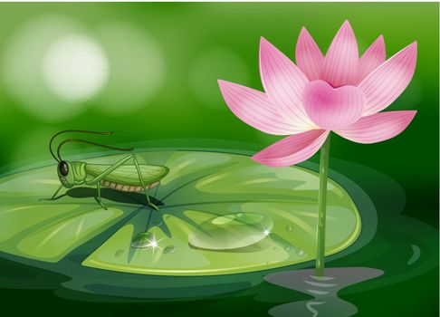 Illustration of a grasshopper above a waterlily beside a pink flower