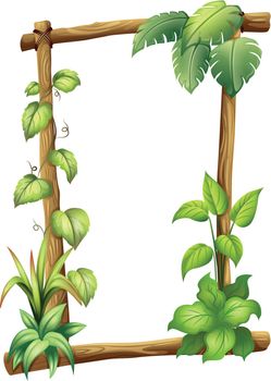 Illustration of a vine plant on a white background