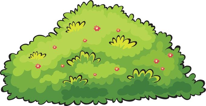 Illustration of a green bush on a white background