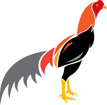 Vector image of an cock on white background