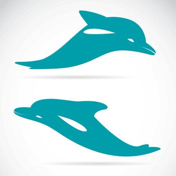 Vector image of an dolphin