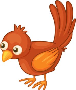 Cute red bird on a white background