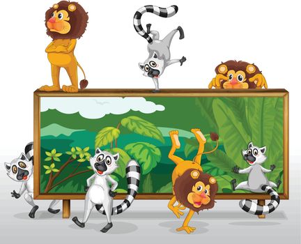 illustration of lion and squirrels with board on white