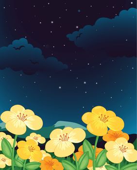 Illustration of flowers at night