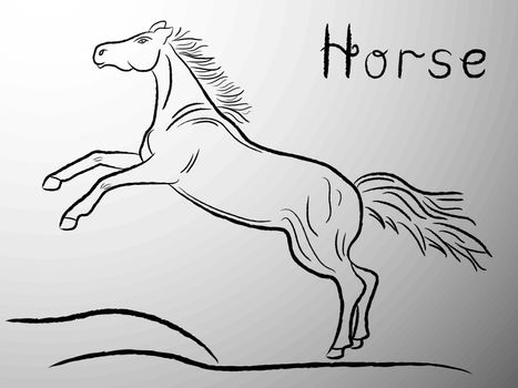 Black graceful Horse contour on the gray background. Hand drawing vector illustration