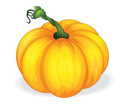 illustration of yellow pumpkin on a white background