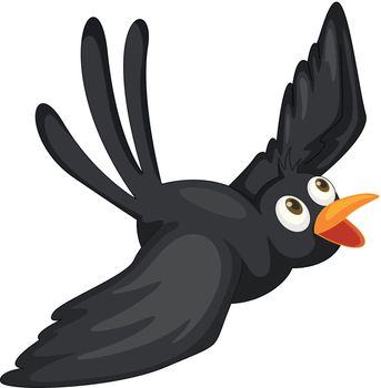 Illustration of a black bird on white