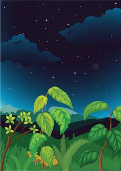 Illustration of night time plant background