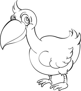 illustration of a bird outline