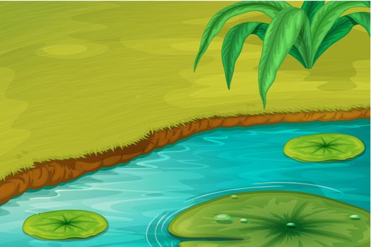 Illustration of the edge of a pond