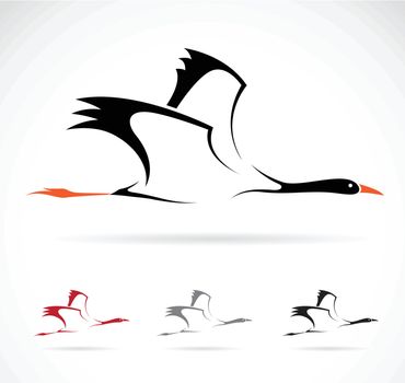Vector image of an stork on white background