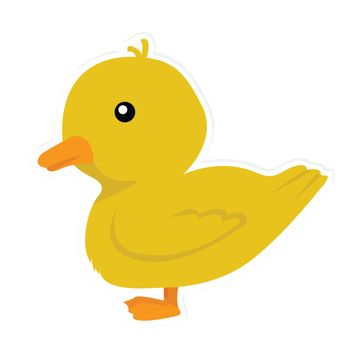 cartoon duck with white background