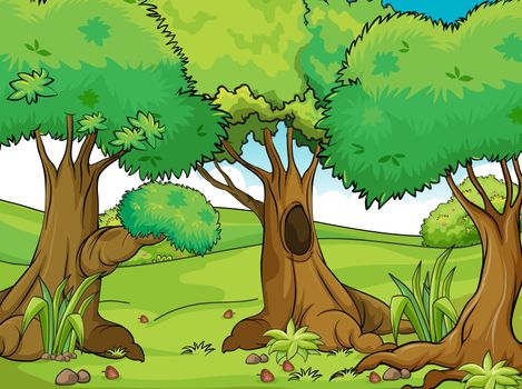 Illustration of big old trees