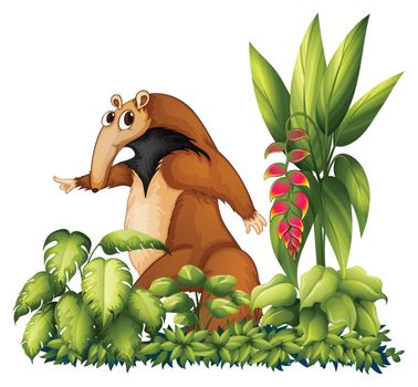 Illustration of an anteater with plants