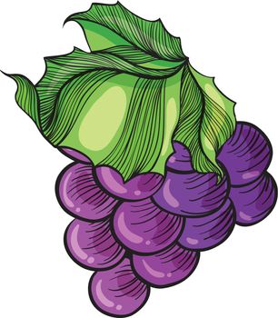 Illustration of a luscious grape on a white background