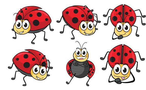 Illustration of smiling ladybugs on a white background