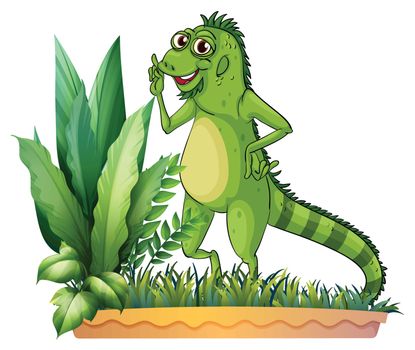 Illustration of a big reptile on a white background