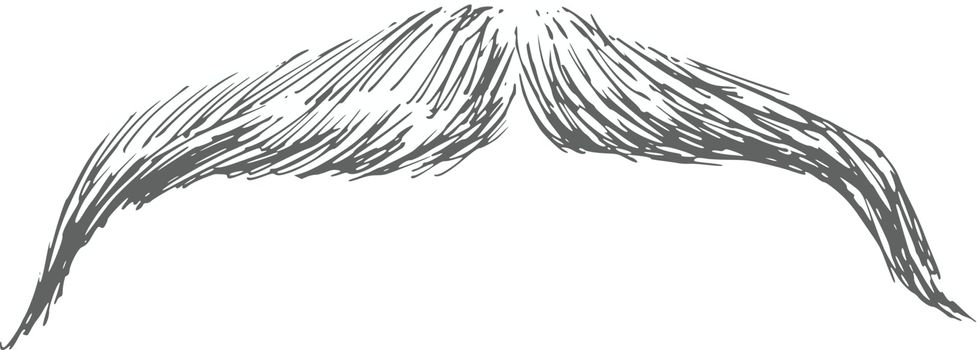 hand drawn, sketch, cartoon illustration of moustache