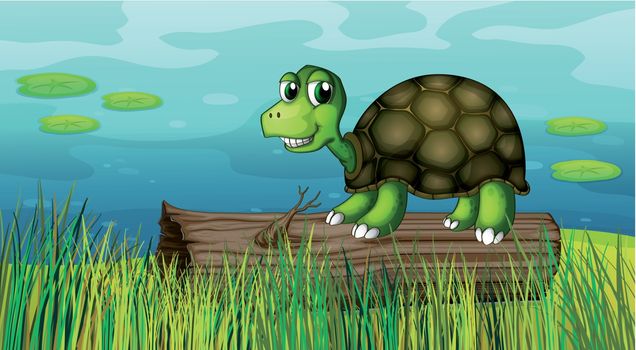 Illustration of a turtle above a wood at the riverbank