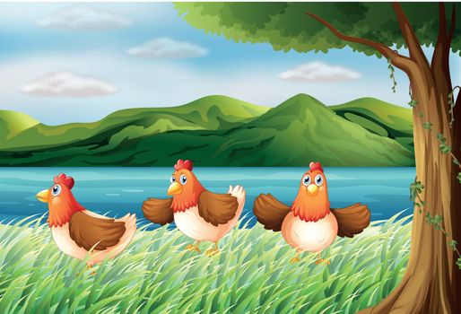 Illustration of the three chickens at the riverbank