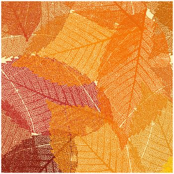 Dry autumn leaves template. EPS 8 vector file included