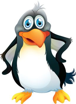 Illustration of a penguin on a white background