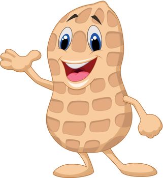 vector illustration of Peanut cartoon character