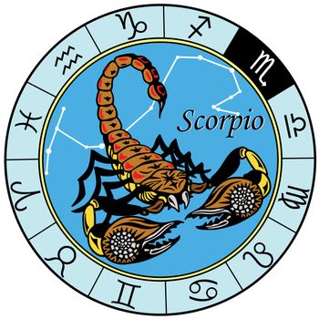 scorpion or scorpio astrological zodiac sign