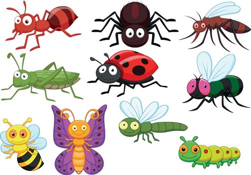 Vector Illustration Of Insect cartoon collection set