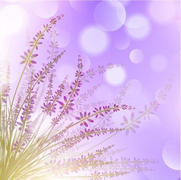 Lavender Flower Over Purple Bokeh Background