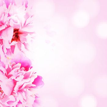 Border With Peony, With Gradient Mesh, Vector Illustration