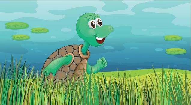 Illustration of a turtle running along the pond