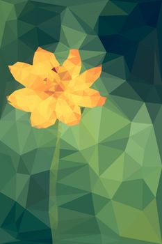 Polygonal of cosmos flower background.vector