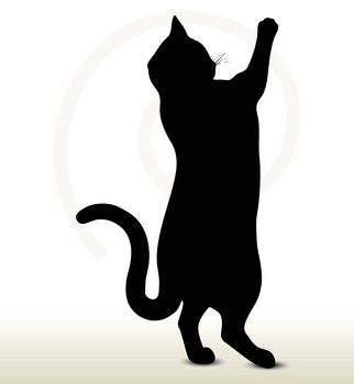 illustration of cat silhouette isolated on white background - in reaching pose