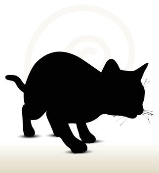 illustration of cat silhouette isolated on white background - in stalking pose