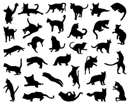 Big set of cats silhouettes, vector illustration