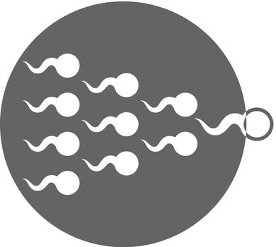 Sperm cells vector icon isolated.