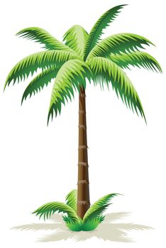 Green Palm Tree Icon with grass isolated on white