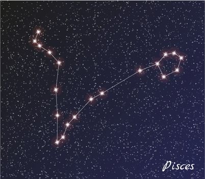 star constellation of pisces on dark sky, vector