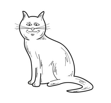 sketch of the smiling cat on white background, vector