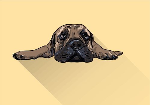 Drawing of  lying bull mastiff with long shadow on yellow background