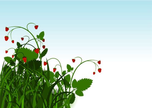 Wild Strawberry Bush Background - Cartoon Illustration, Vector