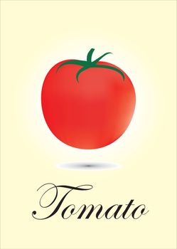 Tomato chart vector illustration