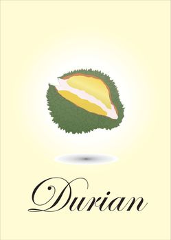 Durian chart vector illustration