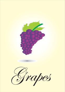 Grapes chart vector illustration