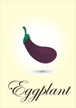 Eggplant chart vector illustration
